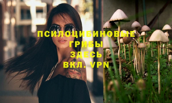прущая мука Рославль
