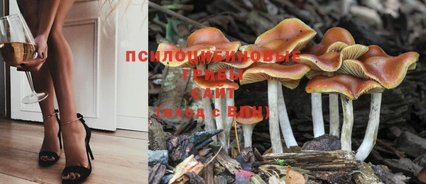 спайс Пролетарск