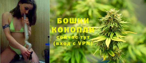 ГАЛЛЮЦИНОГЕННЫЕ ГРИБЫ Россошь