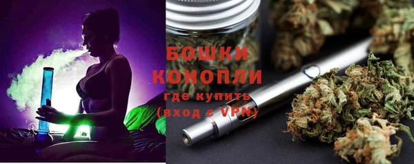 ГАЛЛЮЦИНОГЕННЫЕ ГРИБЫ Россошь