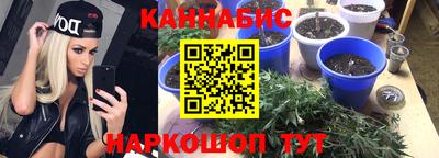 прущие грибы Балашиха