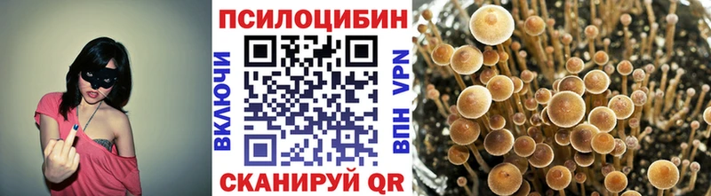 купить наркоту MEGA tor Галлюциногенные грибы мухоморы Боровичи
