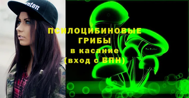 сайты даркнета какой сайт  Боровичи  Галлюциногенные грибы Cubensis  сколько стоит 