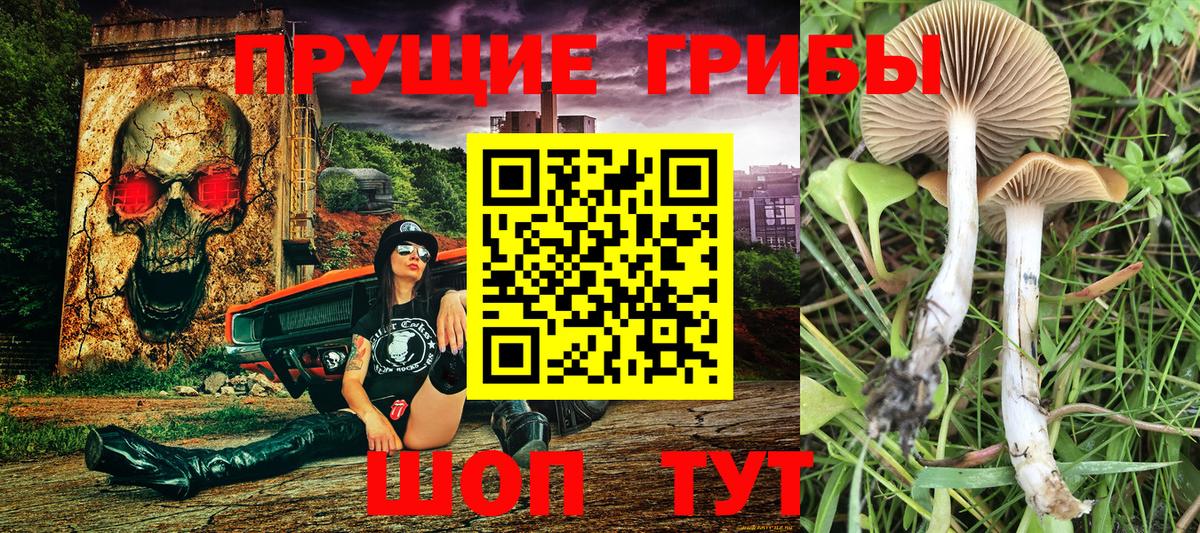 Галлюциногенные грибы ЛСД Боровичи