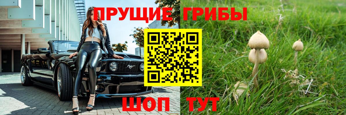 Галлюциногенные грибы мицелий Боровичи